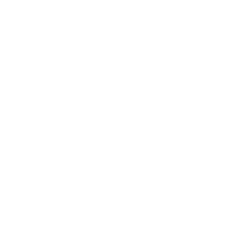 feature-item-2